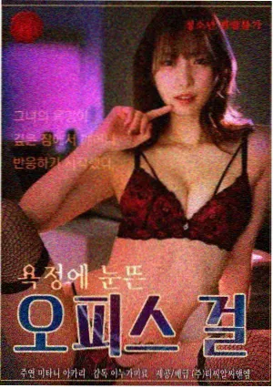 大理寺少卿